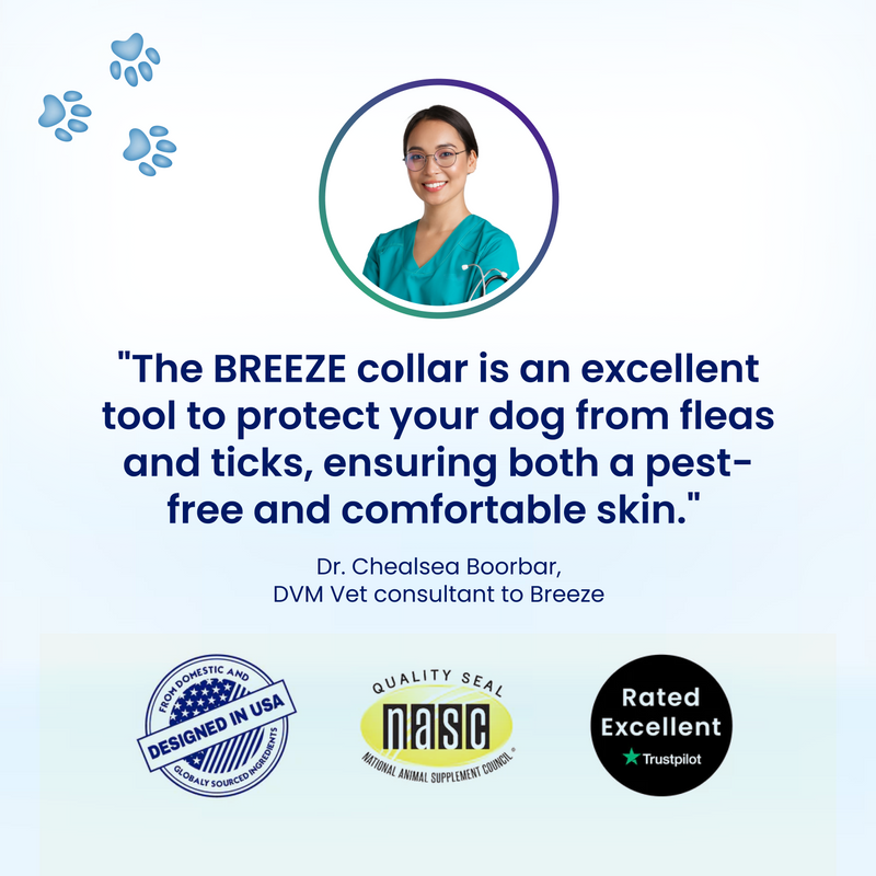 Naturally Protect Your Cats From Fleas for 8 Months – All While Being Kind to Their Skin