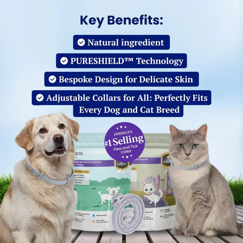 Naturally Protect Your Cats From Fleas for 8 Months – All While Being Kind to Their Skin