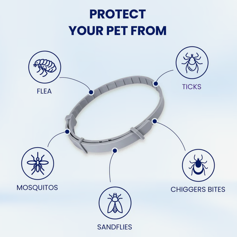 Naturally Protect Your Cats From Fleas for 8 Months – All While Being Kind to Their Skin