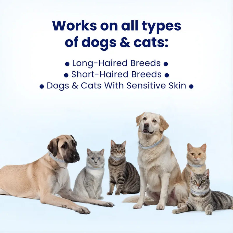 Naturally Protect Your Cats From Fleas for 8 Months – All While Being Kind to Their Skin