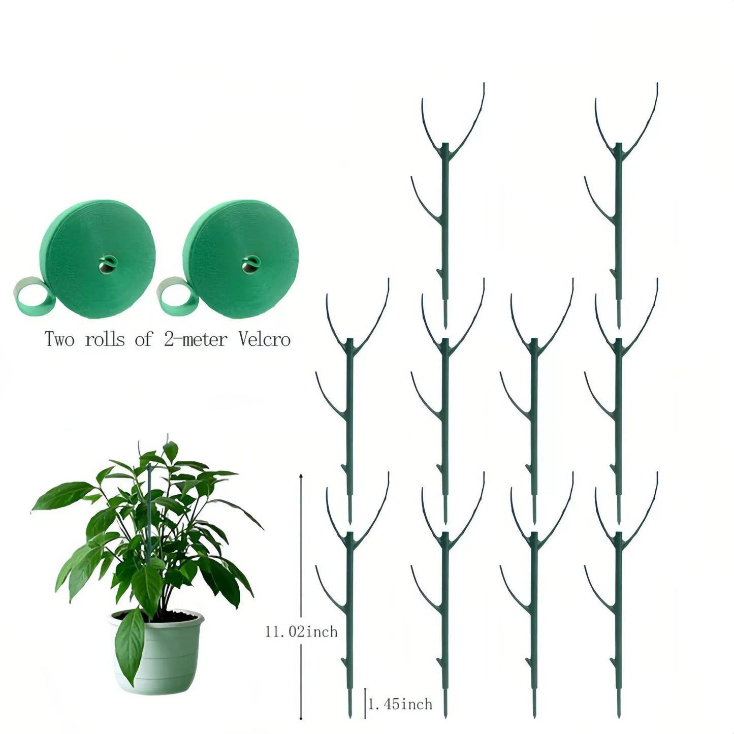 LIMETOW®Plant Support Stakes
