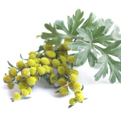 LIMETOW®Natural Knee Pain Patches image LIMETOW®Natural Knee Pain Patches