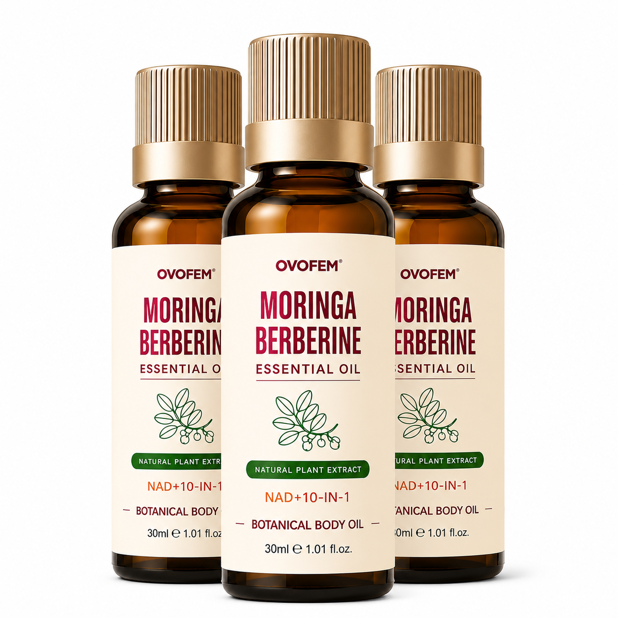 MORINGA BERBERINE ESSENTIAL OIL