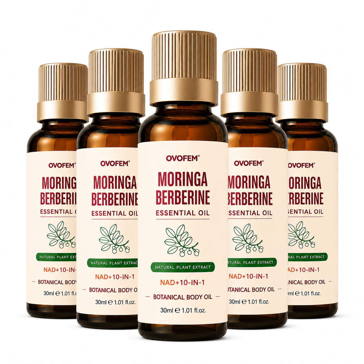 MORINGA BERBERINE ESSENTIAL OIL