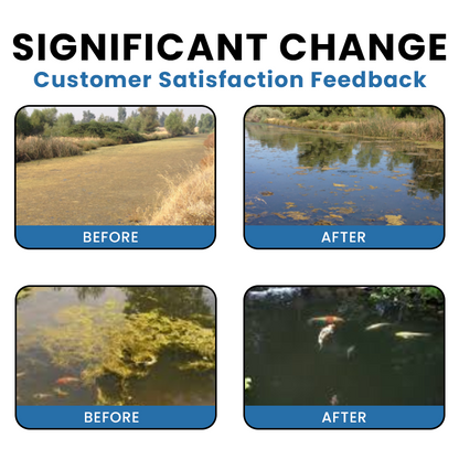 LIMETOW® Premium Pond Care Powder
