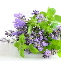 LIMETOW®Natural Knee Pain Patches image LIMETOW®Natural Knee Pain Patches