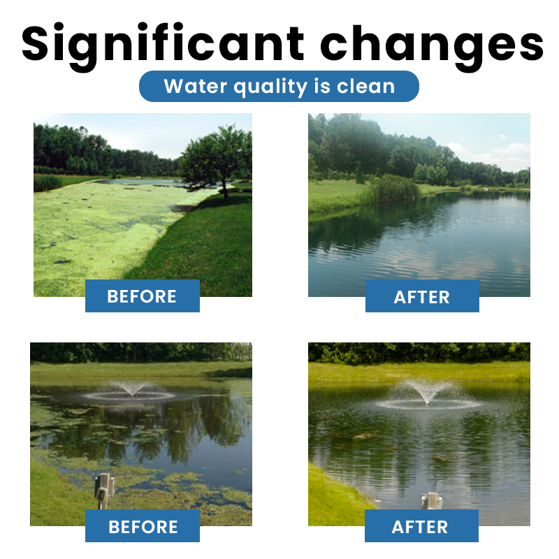 LIMETOW® Premium Pond Care Powder
