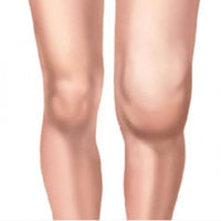 LIMETOW®Natural Knee Pain Patches image LIMETOW®Natural Knee Pain Patches