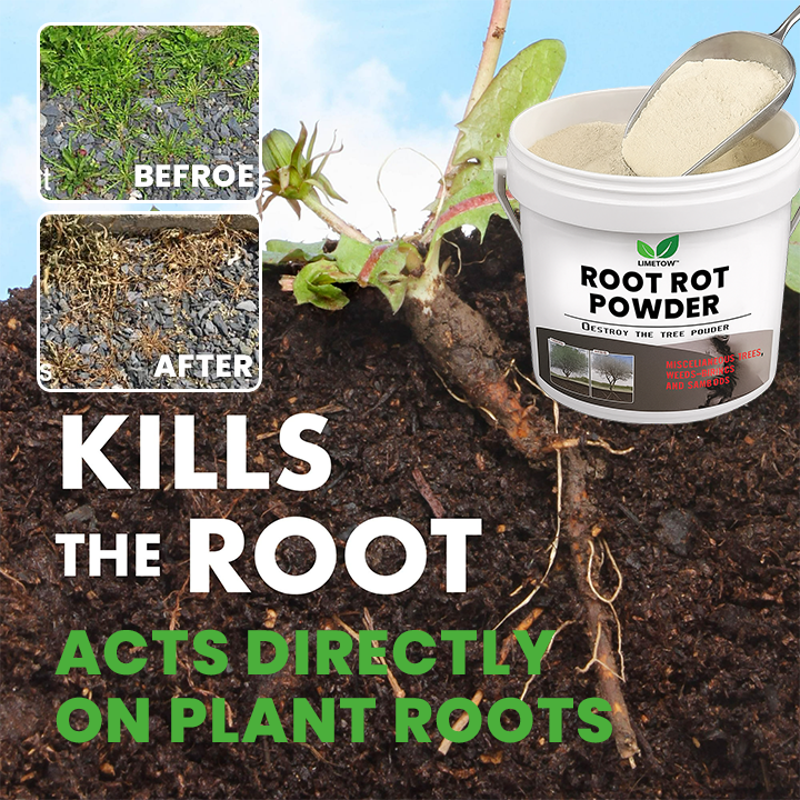 LIMETOW® Root Rot Powder