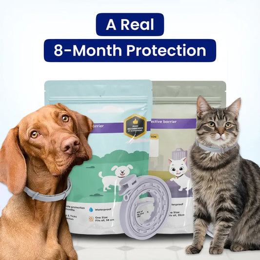 Naturally Protect Your Cats From Fleas for 8 Months – All While Being Kind to Their Skin