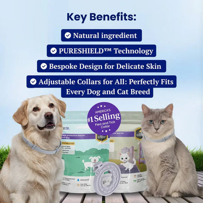 Naturally Protect Your Cats From Fleas for 8 Months – All While Being Kind to Their Skin