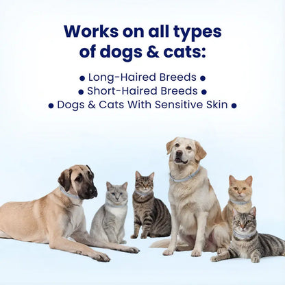 Naturally Protect Your Cats From Fleas for 8 Months – All While Being Kind to Their Skin