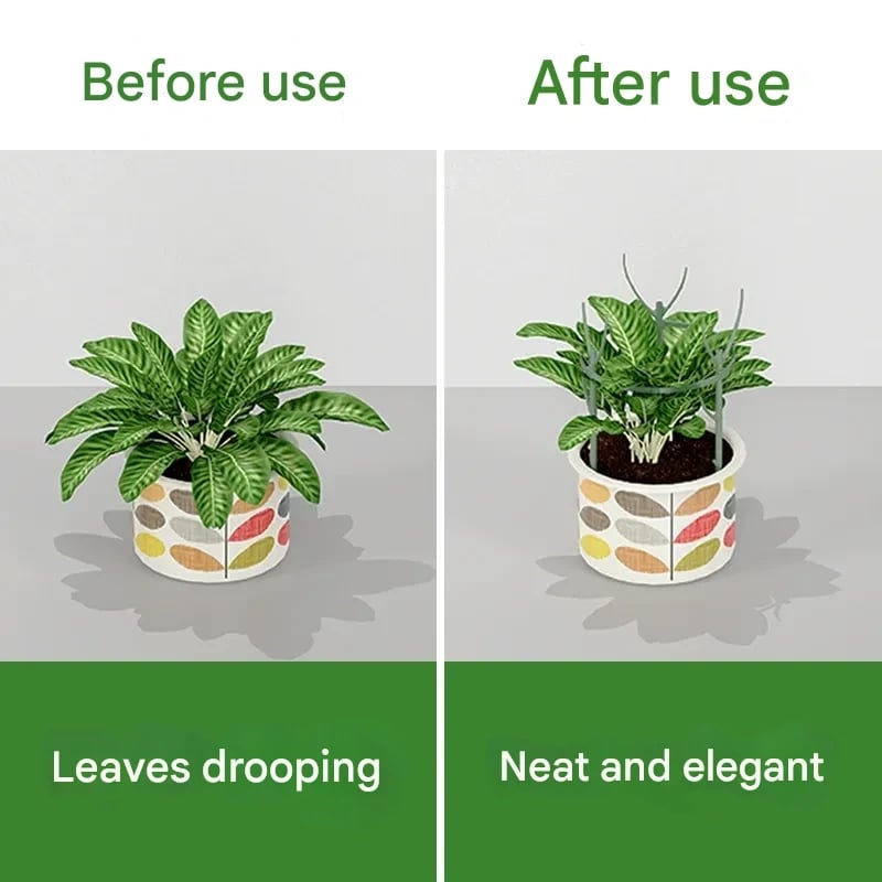 LIMETOW®Plant Support Stakes