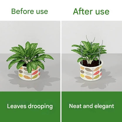 LIMETOW®Plant Support Stakes