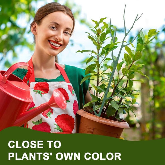 LIMETOW®Plant Support Stakes