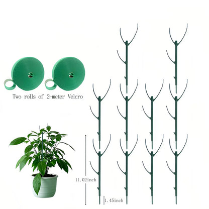 LIMETOW®Plant Support Stakes