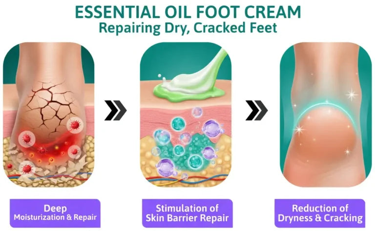 LIMETOW® Tea Tree Oil Foot Cream