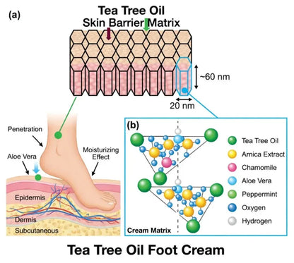 LIMETOW® Tea Tree Oil Foot Cream