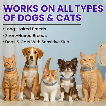 LIMETOW® Anti-Flea Collar for Pets