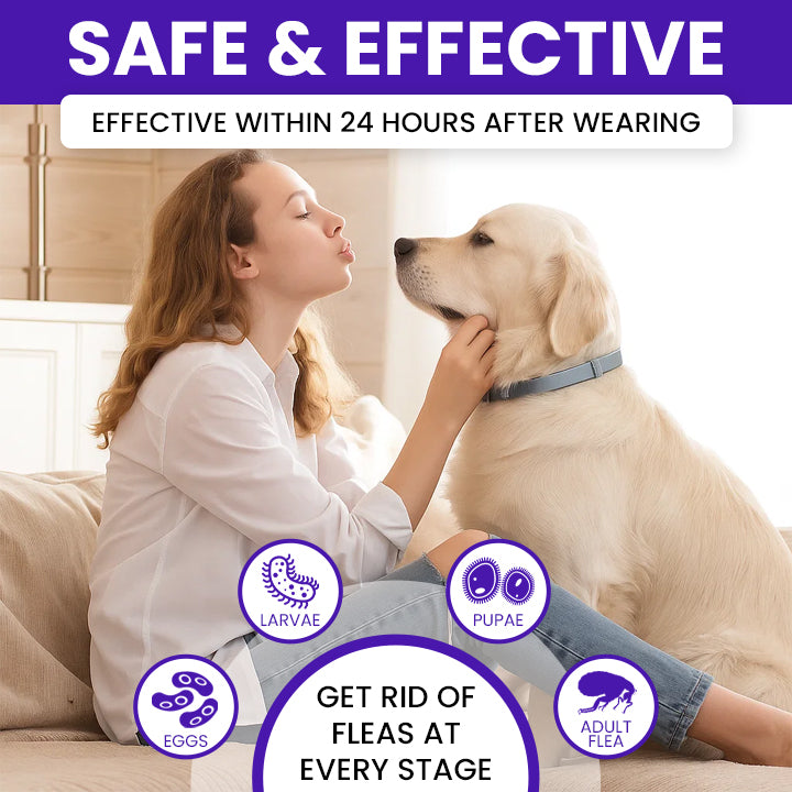 LIMETOW® Anti-Flea Collar for Pets