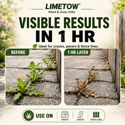 🔥LIMETOW®  Ready-to-Use Weed & Grass Killer