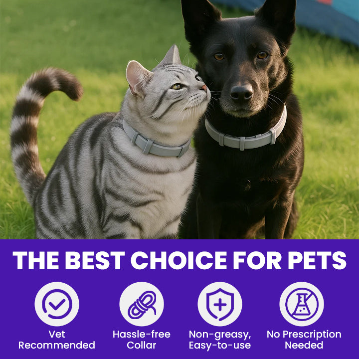 LIMETOW® Anti-Flea Collar for Pets