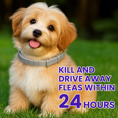 LIMETOW® Anti-Flea Collar for Pets