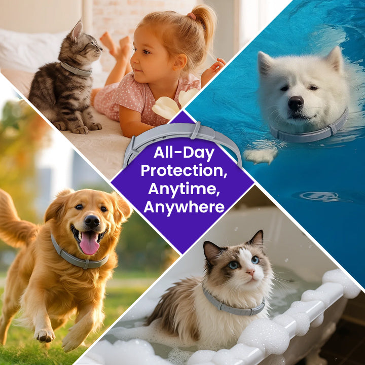 LIMETOW® Anti-Flea Collar for Pets
