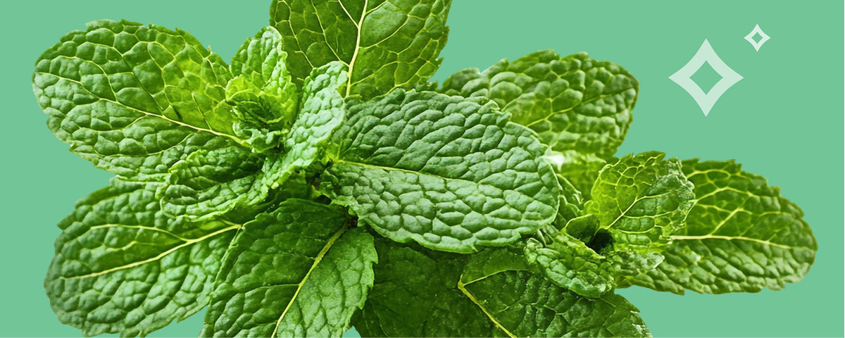 LIMETOW® Nasal Stick Vapor Flow Technology image LIMETOW® Nasal Stick Vapor Flow Technology