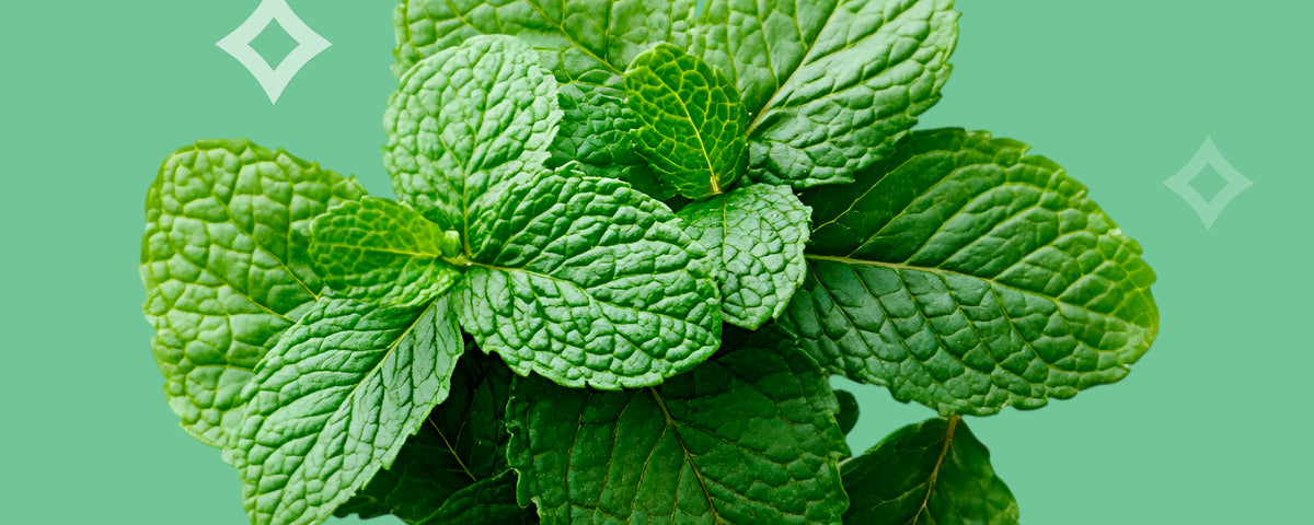 LIMETOW® Nasal Stick Vapor Flow Technology image LIMETOW® Nasal Stick Vapor Flow Technology