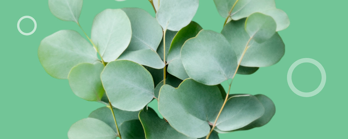 LIMETOW® Nasal Stick Vapor Flow Technology image LIMETOW® Nasal Stick Vapor Flow Technology