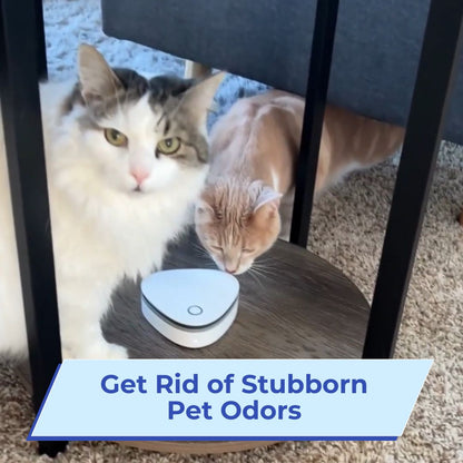 Eliminate Smoke, Pet & Kitchen Odors in 1-Click